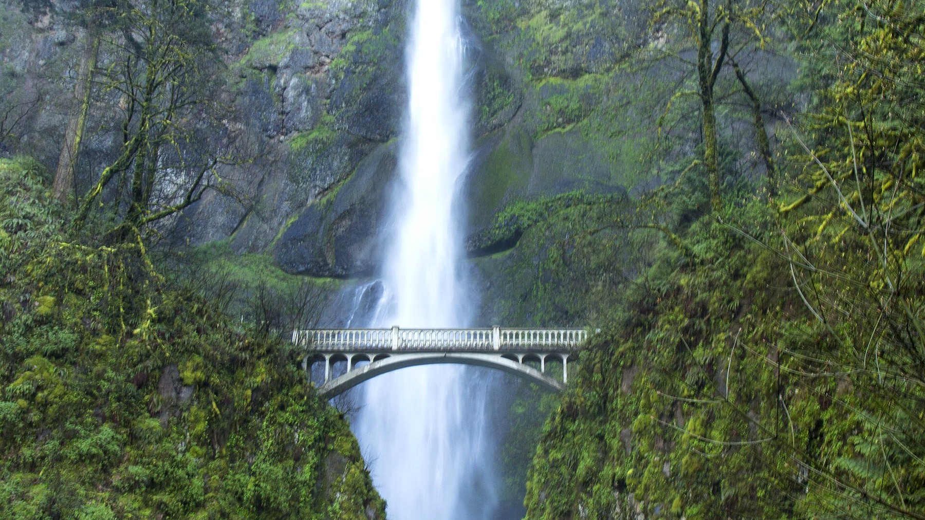 Multnomah Falls and Benson Bridge surrounded by green forest
