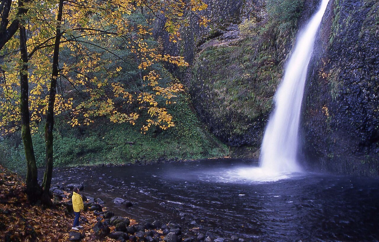 A visitor in a yellow jacket looking at Horsetail Falls in autumn