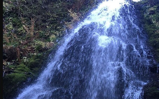 Fairy Falls spreading over mossy rock, landscape view