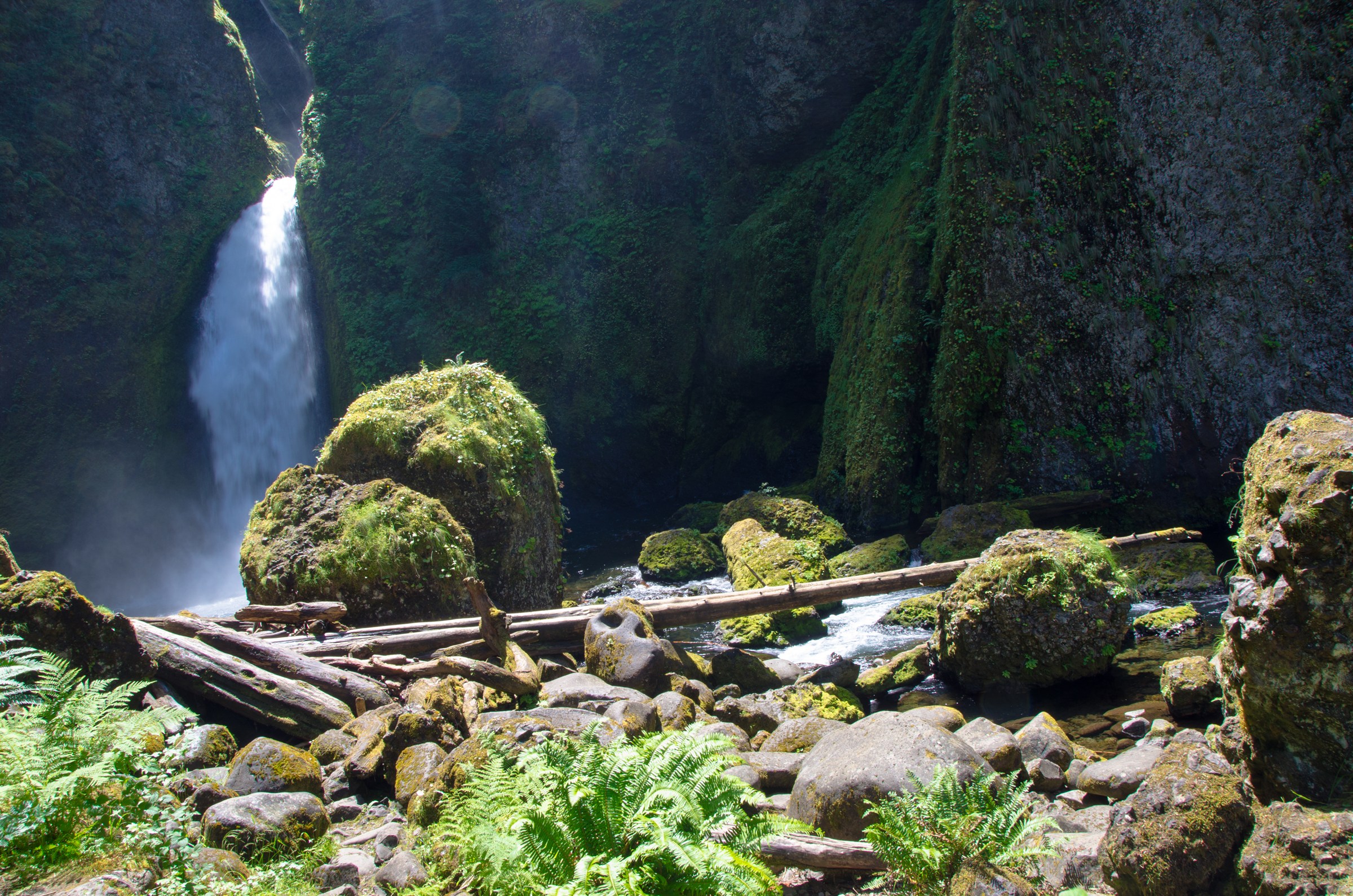 Wahclella Falls framed by dark canyon walls and moss-covered boulders in the Columbia River Gorge.