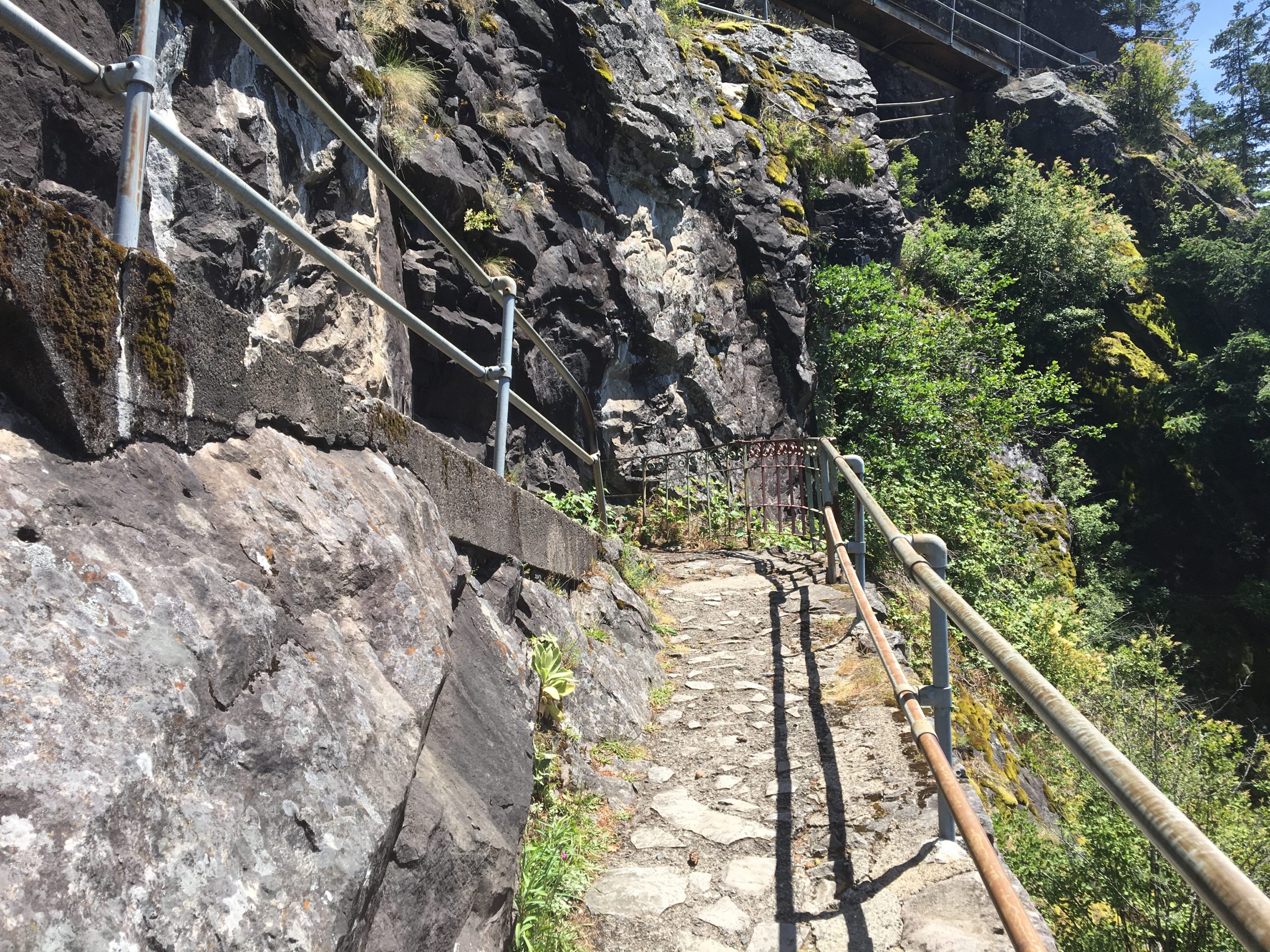 A rock-cut section of Beacon Rock Trail with metal railings and an elevated walkway