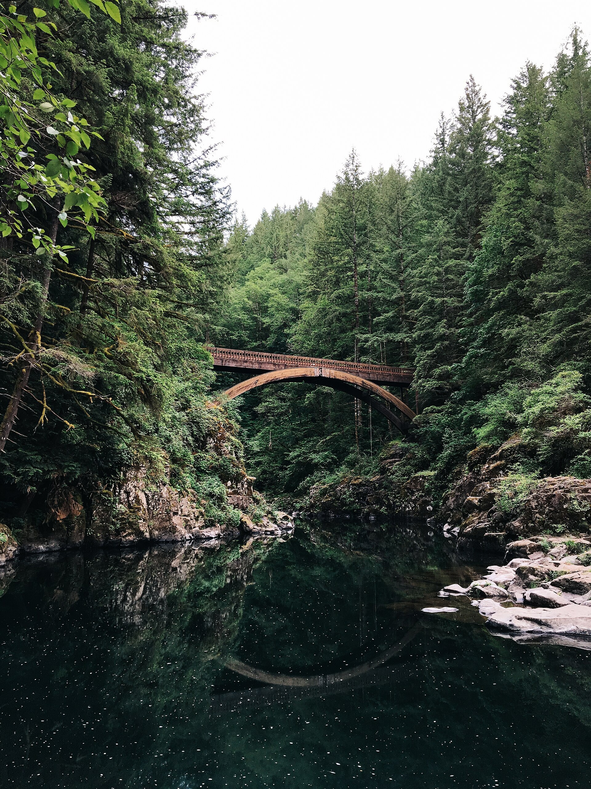Wooden arch bridge crossing a forested river gorge at Moulton Falls Regional Park