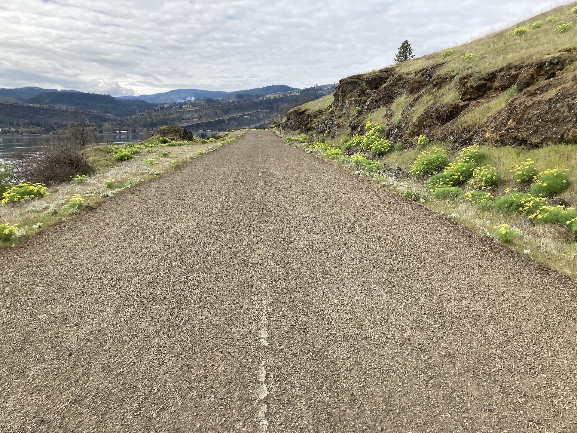 A broad abandoned road used as a trail beside basalt slopes near Coyote Wall