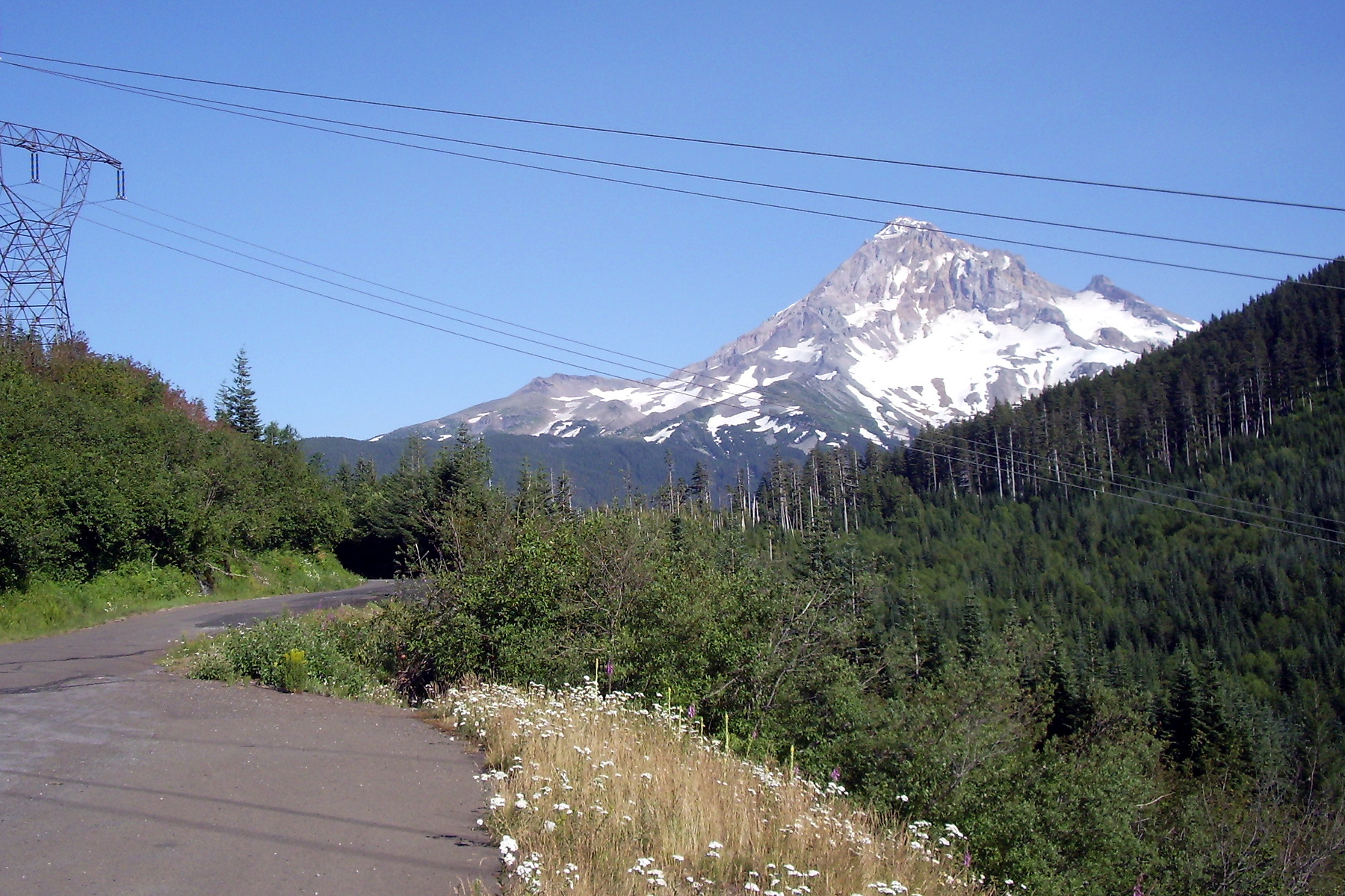 Lolo Pass road with Mount Hood beyond and power lines crossing the view.