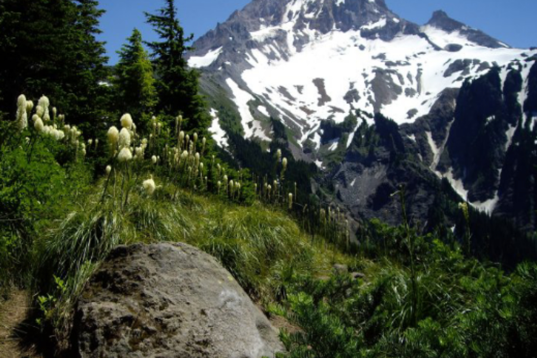 McNeil Point Trail Guide: Top Spur Access, Route Options, and What to Expect