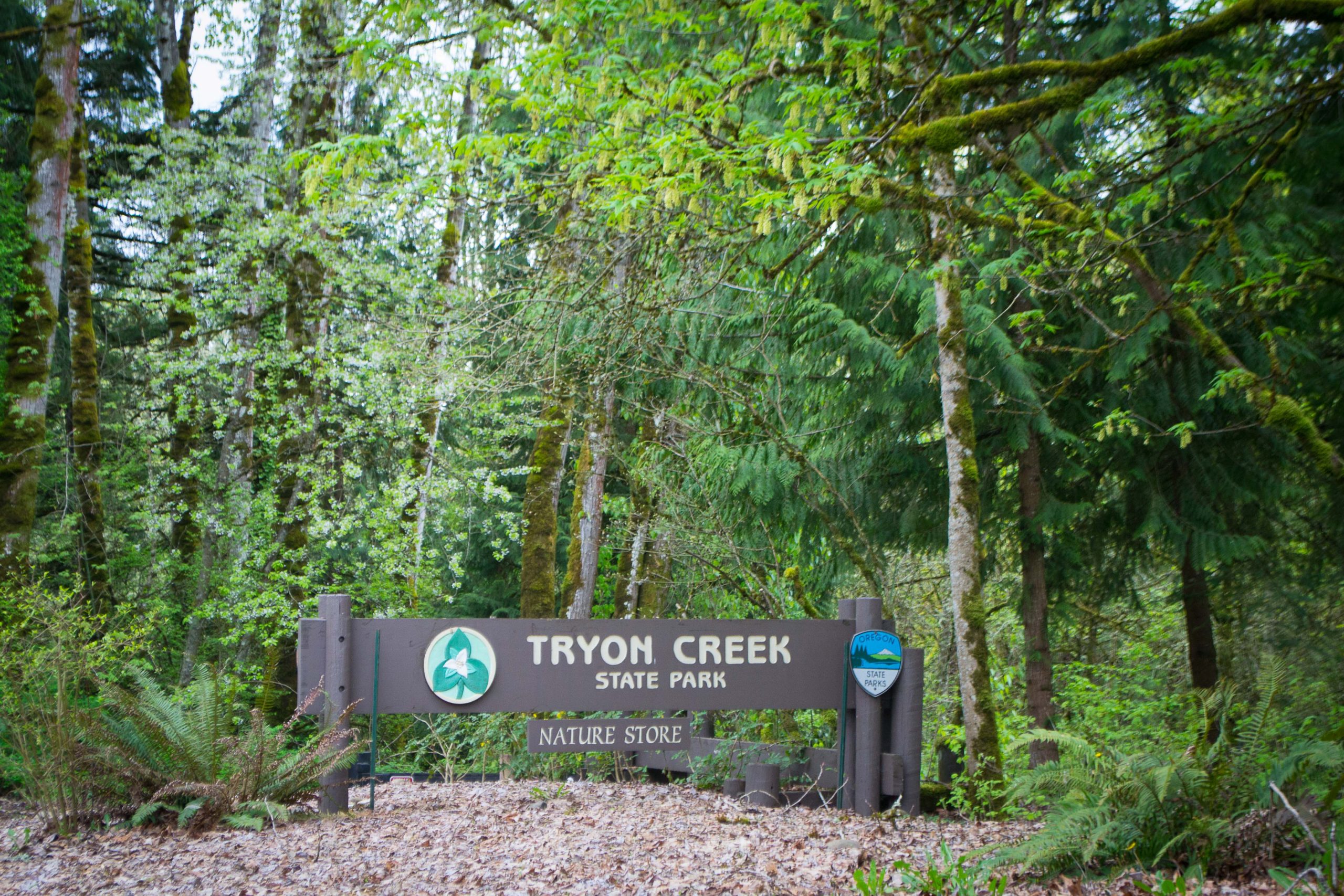Tryon Creek State Park entrance sign surrounded by evergreen forest in Portland.